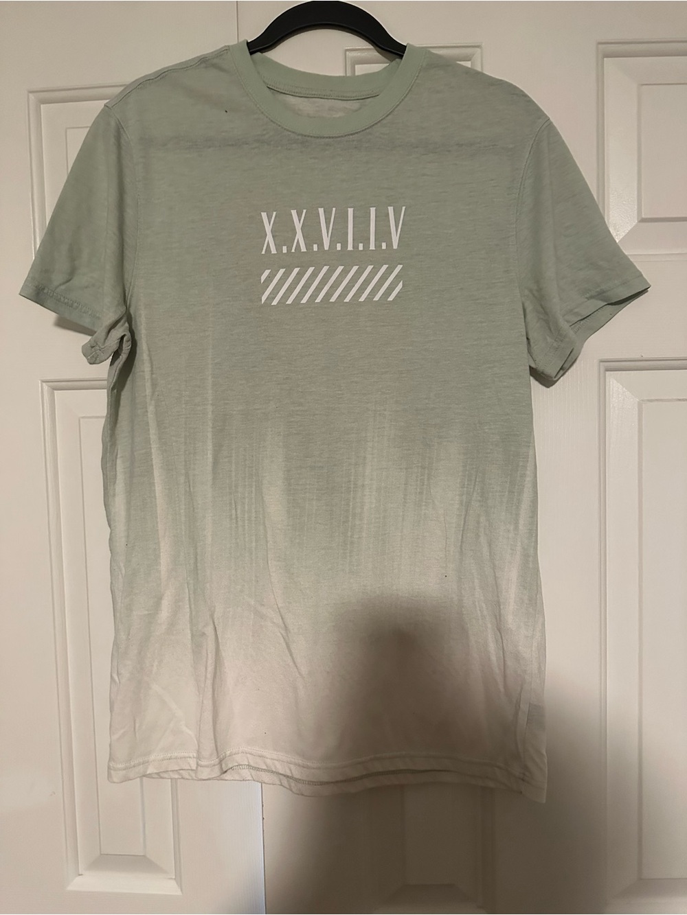 Men's Light Sage Ombre Crew Neck T-Shirt